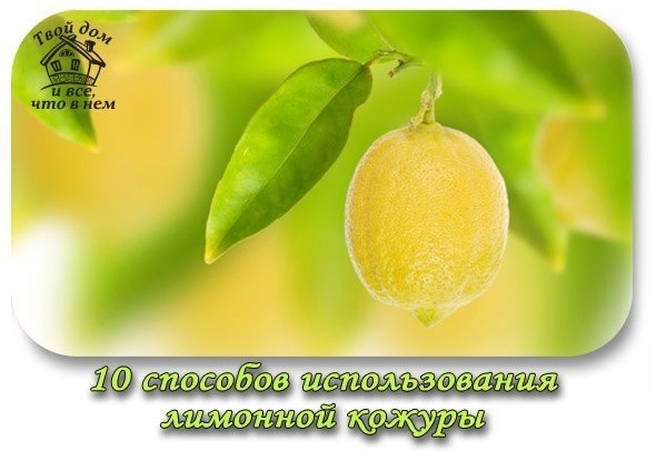 10 способов использования лимонной кожуры 10 способов использования лимонной кожуры