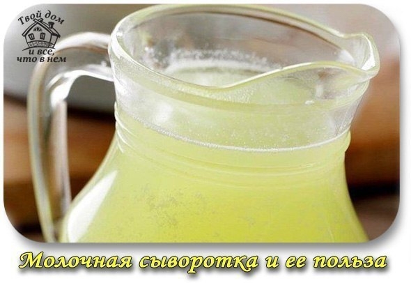 МОЛОЧНАЯ СЫВОРОТКА И ЕЕ ПОЛЬЗА