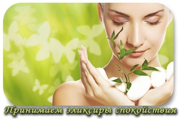 Принимаем эликсиры спокойствия.