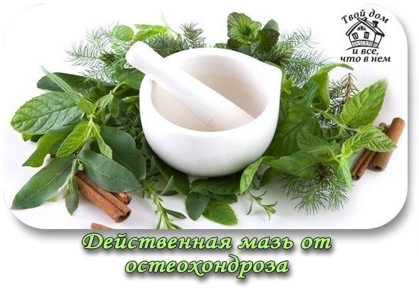 Мазь от остеохондроза