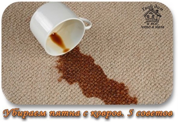 УБИРАЕМ ПЯТНА С КОВРОВ. 5 СОВЕТОВ УБИРАЕМ ПЯТНА С КОВРОВ. 5 СОВЕТОВ