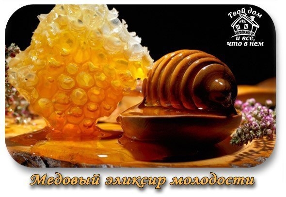 Медовый эликсир молодости
