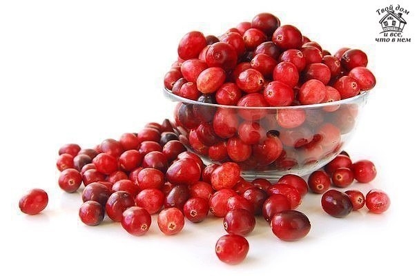 УКРЕПЛЯЕМ СЕРДЦЕ УКРЕПЛЯЕМ СЕРДЦЕ