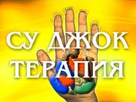 СУ ДЖОК - СКОРАЯ ПОМОЩЬ В ЛЮБОЙ СИТУАЦИИ!!! СУ ДЖОК - СКОРАЯ ПОМОЩЬ В ЛЮБОЙ СИТУАЦИИ!!!