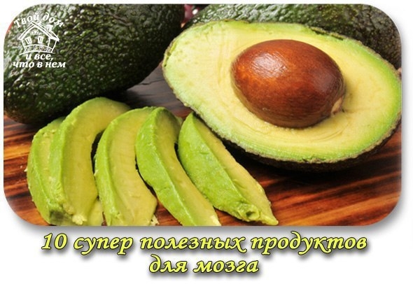 10 супер полезных продуктов для вашего мозга 10 супер полезных продуктов для вашего мозга