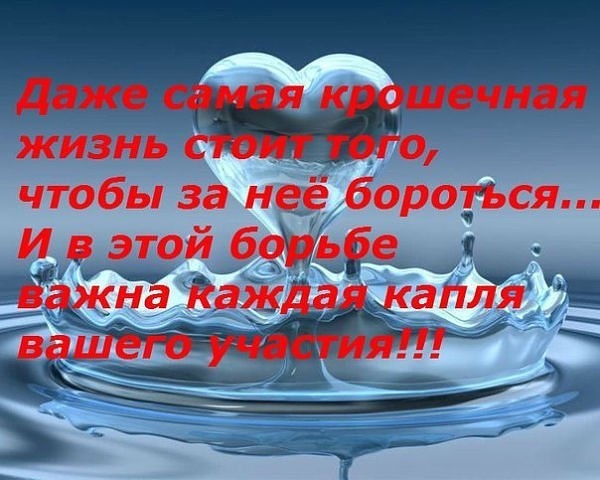 Наше ПОПОЛНЕНИЕ...