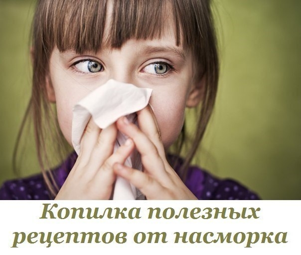 Копилка полезных рецептов от насморка Копилка полезных рецептов от насморка