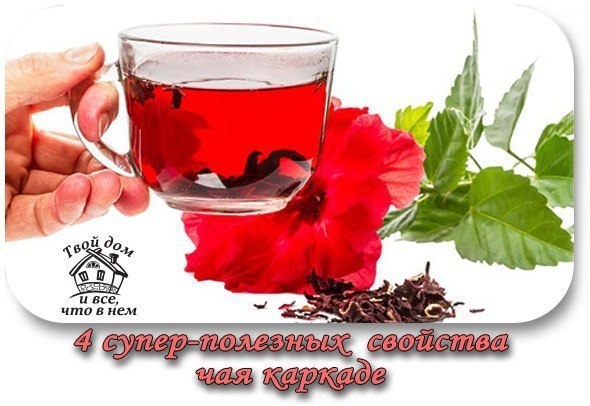 4 супер-полезных свойства чая каркаде 4 супер-полезных свойства чая каркаде