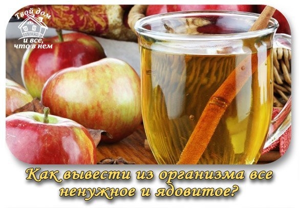 Как вывести из организма все ненужное и ядовитое? Как вывести из организма все ненужное и ядовитое?