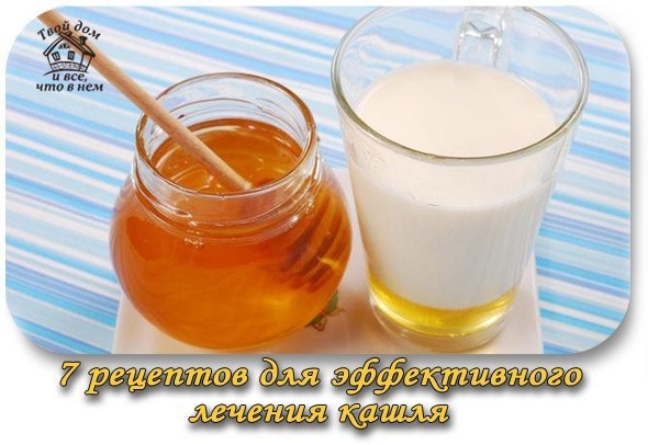 7 рецептов для эффективного лечения кашля 7 рецептов для эффективного лечения кашля