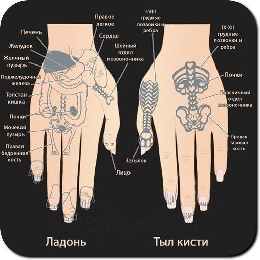 Китайские шарики как способ сохранить здоровье, не вставая с дивана