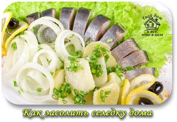 КАК ЗАСОЛИТЬ СЕЛЕДКУ ДОМА,