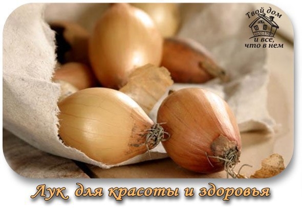 Лук для красоты и здоровья