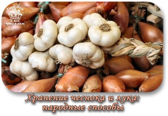 ХРАНЕНИЕ ЧЕСНОКА И ЛУКА: НАРОДНЫЕ СПОСОБЫ