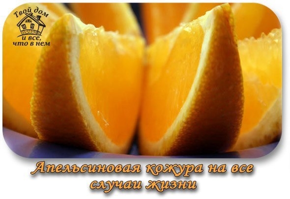 АПЕЛЬСИНОВАЯ КОЖУРА НА ВСЕ СЛУЧАИ ЖИЗНИ АПЕЛЬСИНОВАЯ КОЖУРА НА ВСЕ СЛУЧАИ ЖИЗНИ