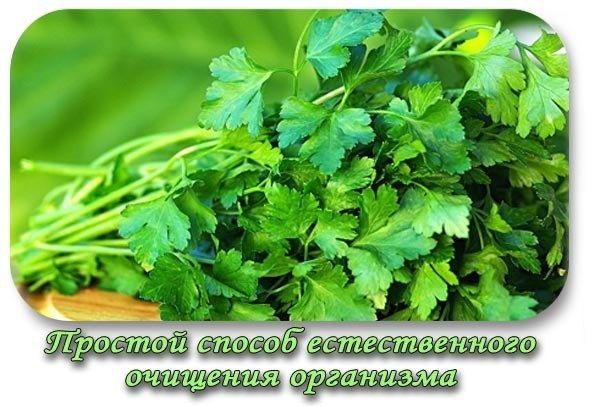 Простой способ естественного очищения организма
