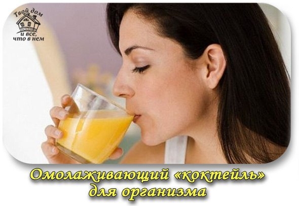 Омолаживающий «коктейль» для организма Омолаживающий «коктейль» для организма