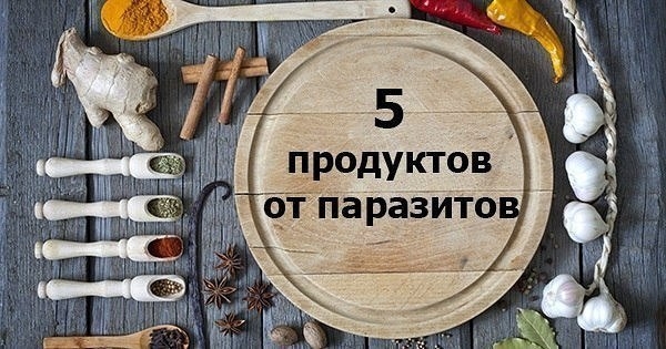 Очисти организм от паразитов. Очисти организм от паразитов.
