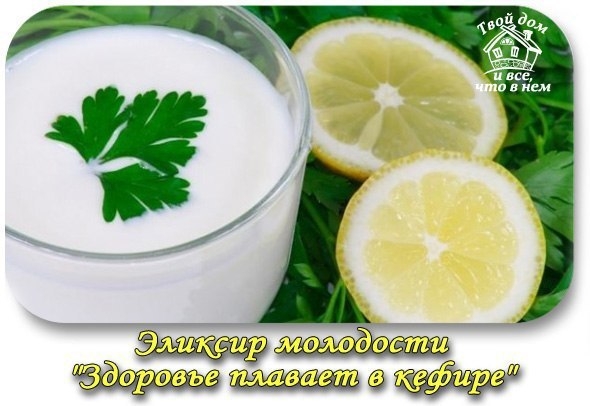 ЭЛИКСИР МОЛОДОСТИ "Здоровье плавает в кефире" ЭЛИКСИР МОЛОДОСТИ "Здоровье плавает в кефире"