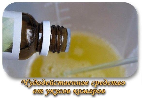 Действительно чудодейственное средство от укусов комаров Действительно чудодейственное средство от укусов комаров
