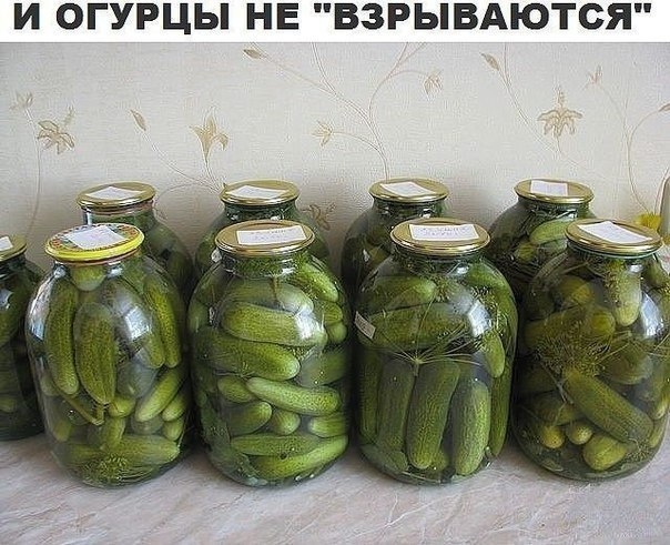 Огурцы не взрываются Огурцы не взрываются