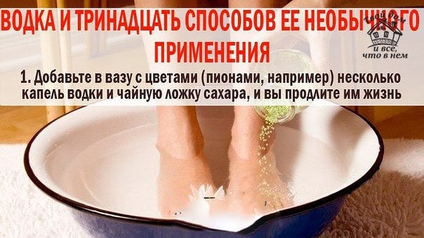 ВОДКА И ТРИНАДЦАТЬ СПОСОБОВ ЕЕ НЕОБЫЧНОГО ПРИМЕНЕНИЯ ВОДКА И ТРИНАДЦАТЬ СПОСОБОВ ЕЕ НЕОБЫЧНОГО ПРИМЕНЕНИЯ