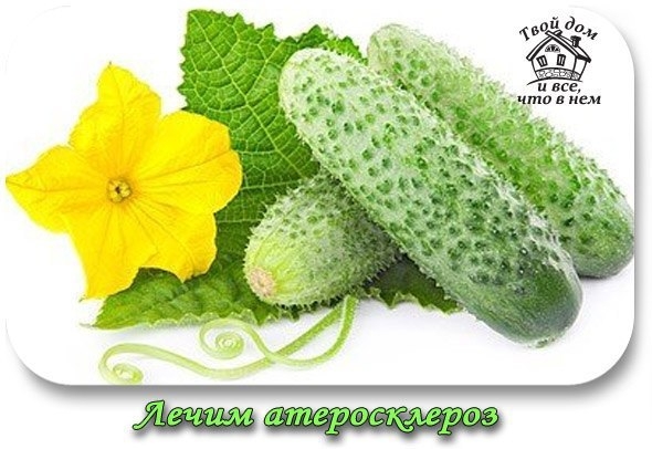 ЛЕЧИМ АТЕРОСКЛЕРОЗ