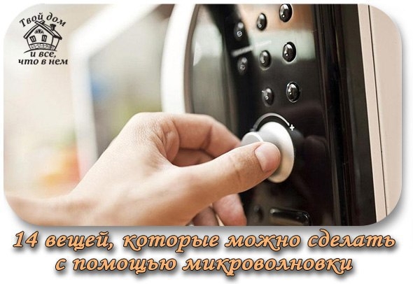 14 вещей, которые можно сделать с помощью микроволновки