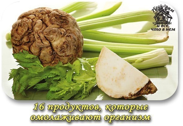 Омолаживающие продукты