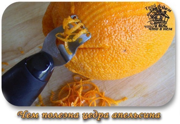 ЧЕМ ПОЛЕЗНА ЦЕДРА АПЕЛЬСИНА