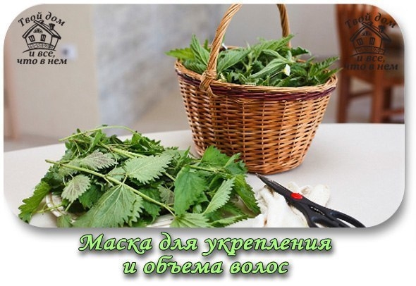 Маска для укрепления и объема волос у корней