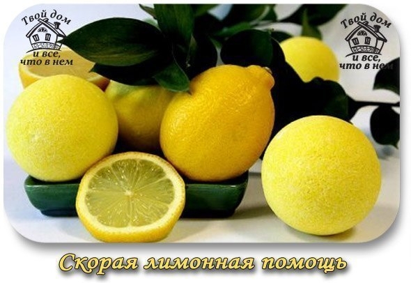 СКОРАЯ ЛИМОННАЯ ПОМОЩЬ СКОРАЯ ЛИМОННАЯ ПОМОЩЬ