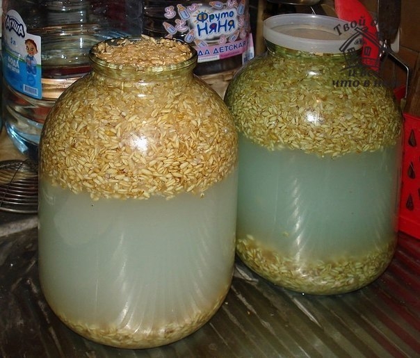 ОВСЯНЫЙ КВАС ОВСЯНЫЙ КВАС