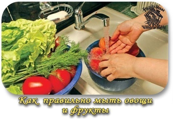 Несколько советов: как правильно мыть овощи и фрукты Несколько советов: как правильно мыть овощи и фрукты