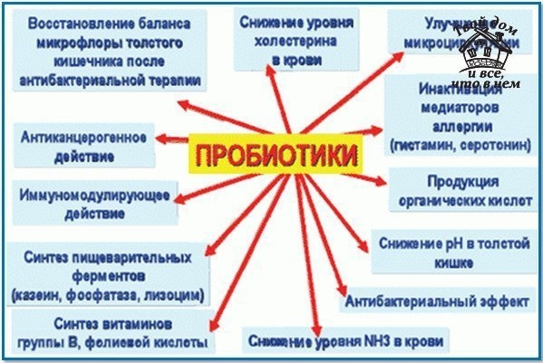 Пробиотики – это отличная защита от болезней сердца и гипертонии Пробиотики – это отличная защита от болезней сердца и гипертонии
