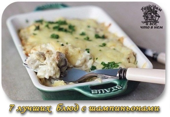 Рецепты блюд с шампиньонами Рецепты блюд с шампиньонами