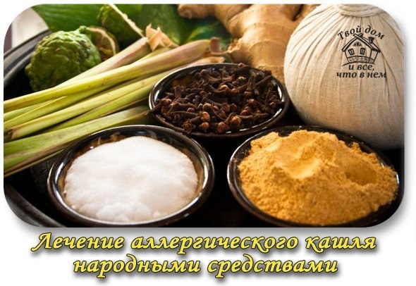Лечение аллергического кашля народными средствами