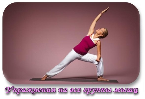 УПРАЖНЕНИЯ НА ВСЕ ГРУППЫ МЫШЦ.