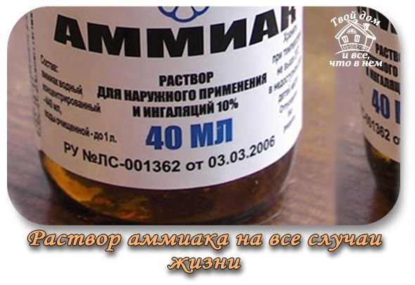 10% раствор аммиака на все случаи жизни 10% раствор аммиака на все случаи жизни