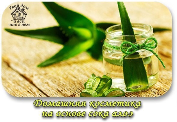 ДОМАШНЯЯ КОСМЕТИКА НА ОСНОВЕ СОКА АЛОЭ