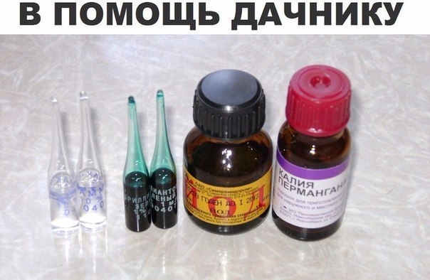 10 ПОМОЩНИКОВ ДАЧНИКА ИЗ АПТЕКИ