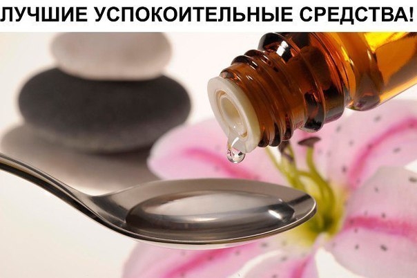 ЛУЧШИЕ УСПОКОИТЕЛЬНЫЕ СРЕДСТВА
