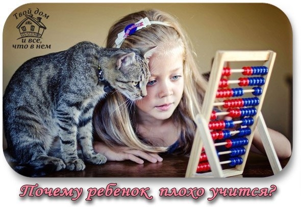Почему ребенок плохо учится? Почему ребенок плохо учится?