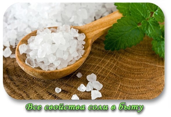 Все свойства соли в быту Все свойства соли в быту