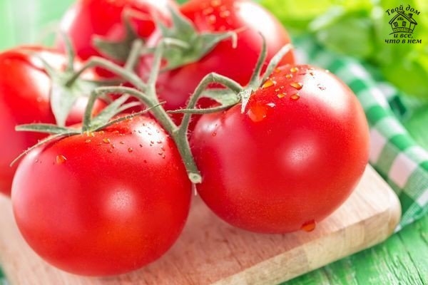 7 маленьких секретов выращивания вкусных помидоров 7 маленьких секретов выращивания вкусных помидоров