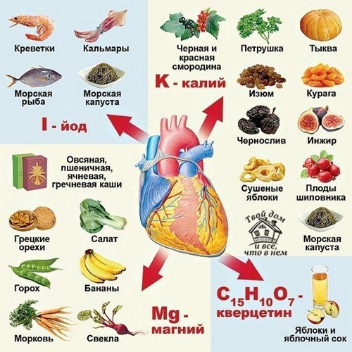 Продукты, запрещённые и рекомендуемые при заболеваниях сердечно-сосудистой системы. Продукты, запрещённые и рекомендуемые при заболеваниях сердечно-сосудистой системы.