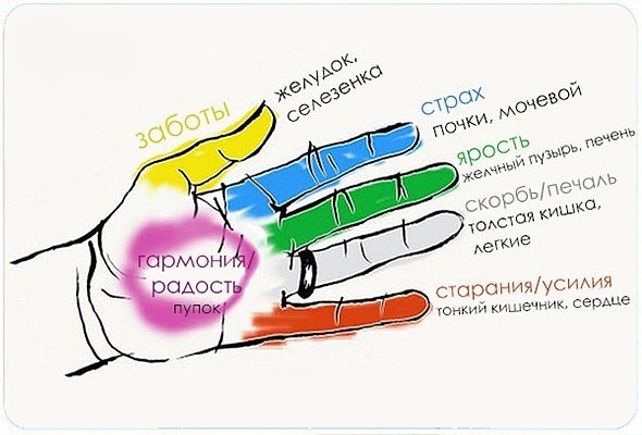 Секрет гармонии тела и души! Оказывается, человеческие органы неразрывно связаны с пальцами