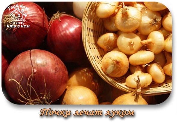 Почки лечат луком!