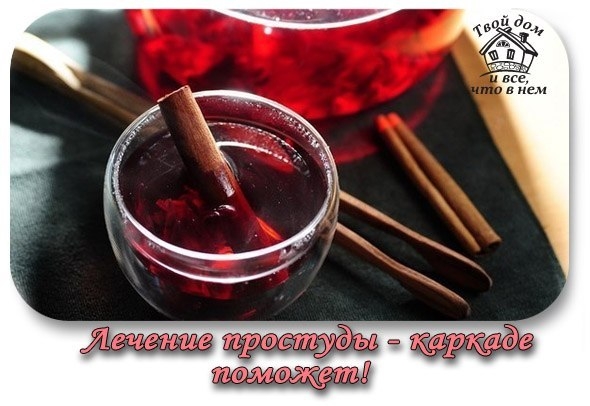 Лечение простуды - каркаде поможет! Лечение простуды - каркаде поможет!