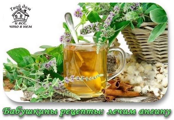 БАБУШКИНЫ РЕЦЕПТЫ: ЛЕЧИМ АНГИНУ БАБУШКИНЫ РЕЦЕПТЫ: ЛЕЧИМ АНГИНУ